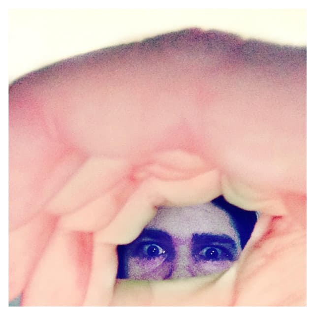 Odditties Sodomies, Volume 2 cover art