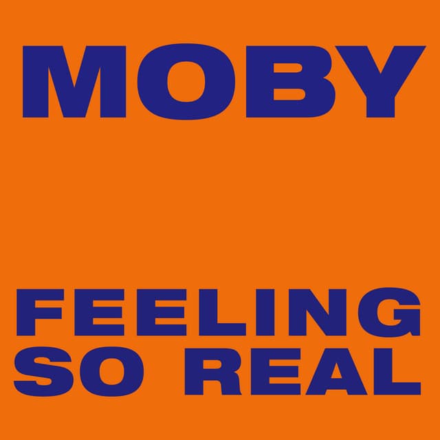 Feeling So Real - Westbam Mix cover art