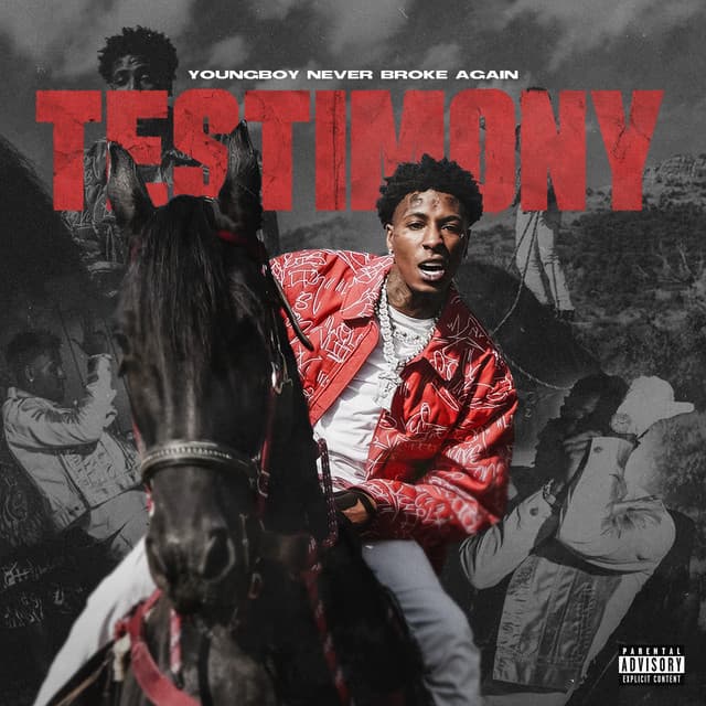 Testimony cover art