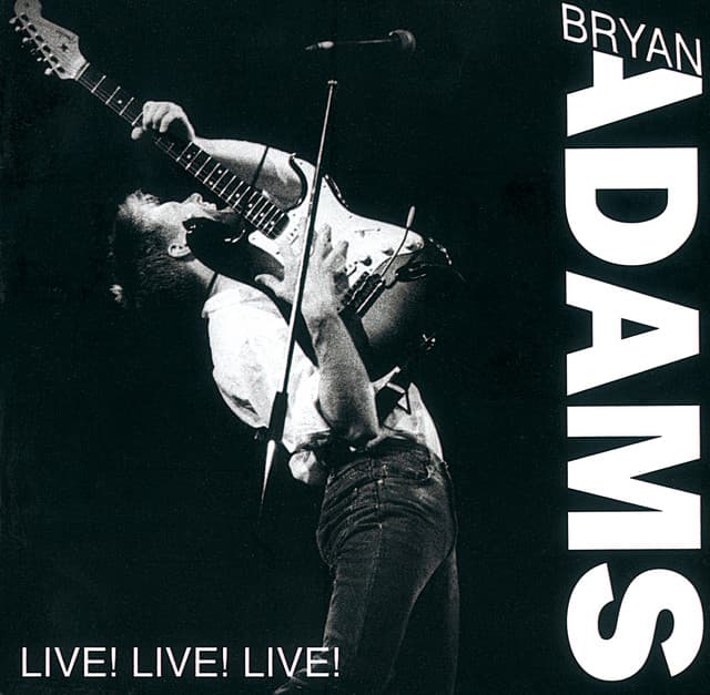 Somebody - Live At Rock Werchter, Belgium/1988 cover art