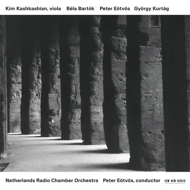 Viola Concerto, Sz. 120 (Compl. Serly): I. Moderato – Lento parlando cover art