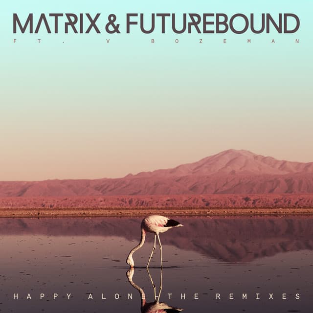 Happy Alone (feat. V. Bozeman) - Extended Mix cover art