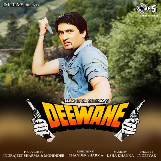 Chaman Mein Bahaar cover art