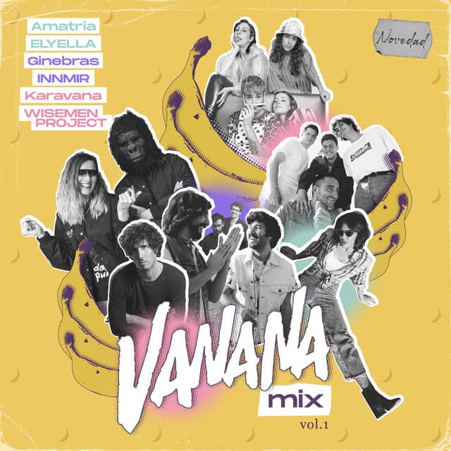 Vanana Megamix cover art