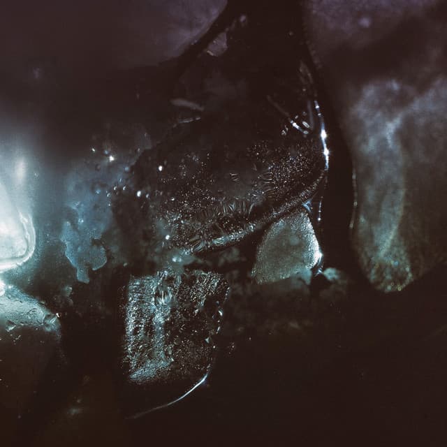 Do (AWWWM Outtake) cover art