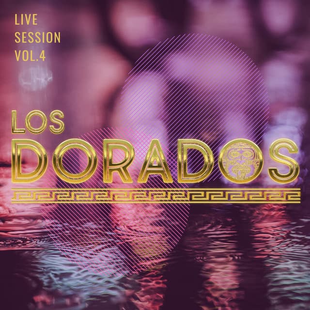 Un Cariño Como Tu (En Vivo) cover art