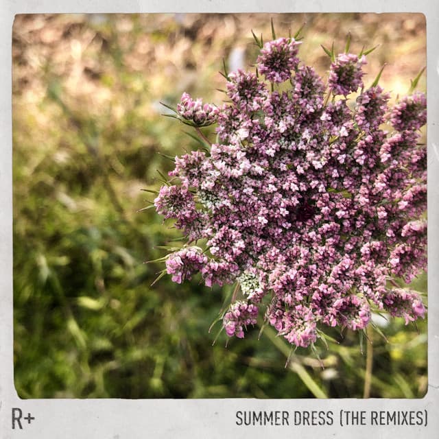 Summer Dress (Theo Kottis Remix) cover art
