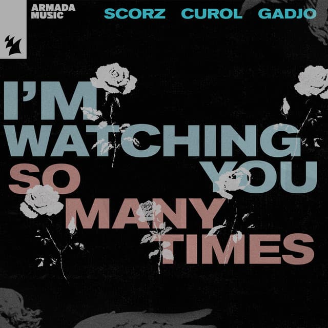 I'm Watching You (So Many Times) cover art