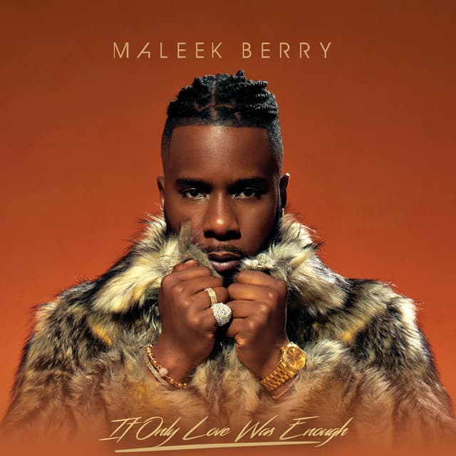 Mirror cover art