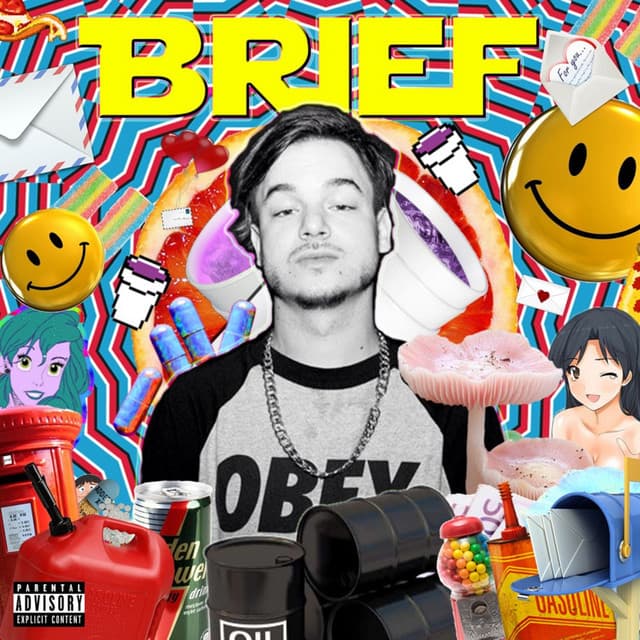 Brief cover art