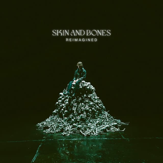 Skin and Bones (Instrumental) cover art