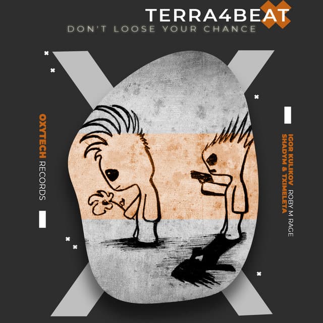 Don't Loose Your Chance cover art