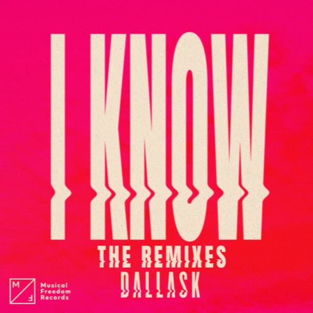 I Know - DLMT Remix cover art