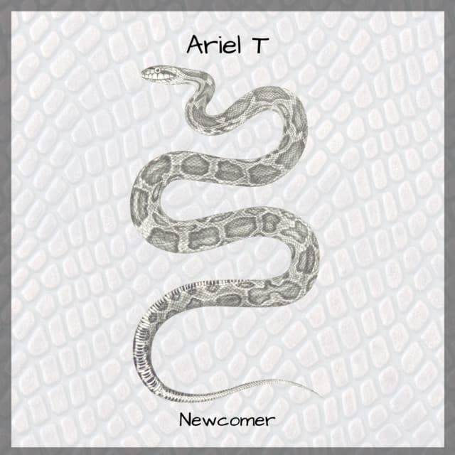 Newcomer cover art