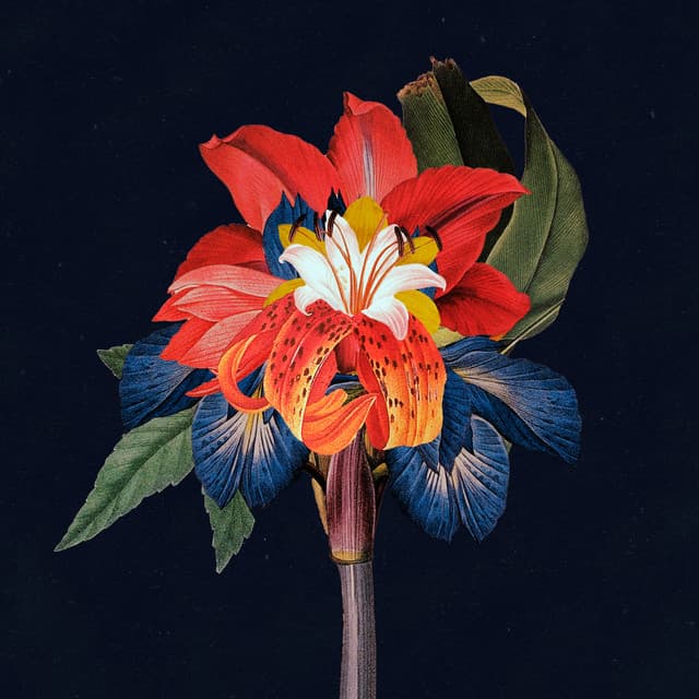 Nervous Tics cover art