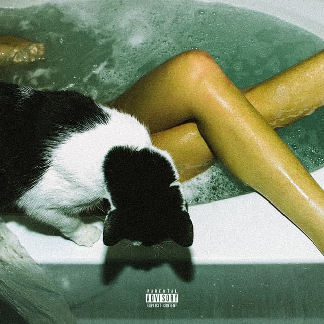 Drugs Bass and You cover art