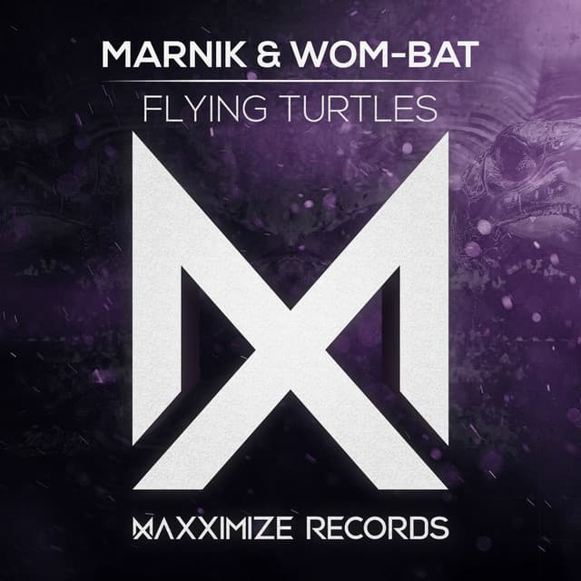 Flying Turtles cover art