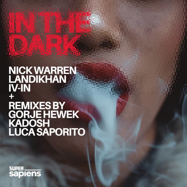 In The Dark cover art