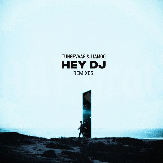 Hey DJ (Refuzion Remix) cover art