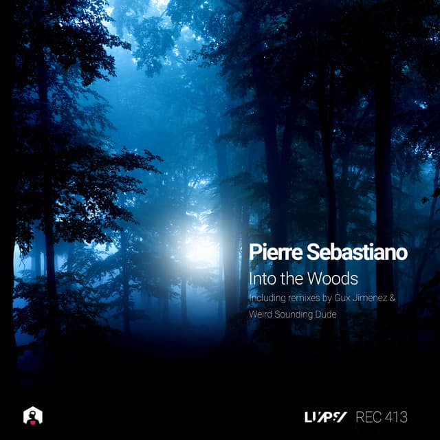 Into the Woods - Weird Sounding Dude Remix cover art