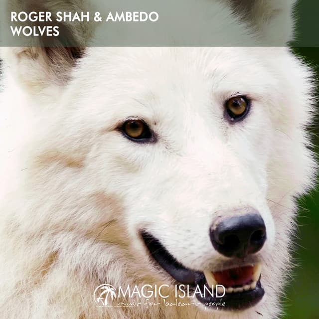 Wolves cover art