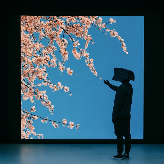Lucid Love cover art