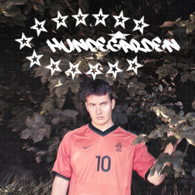 Forsvinne cover art