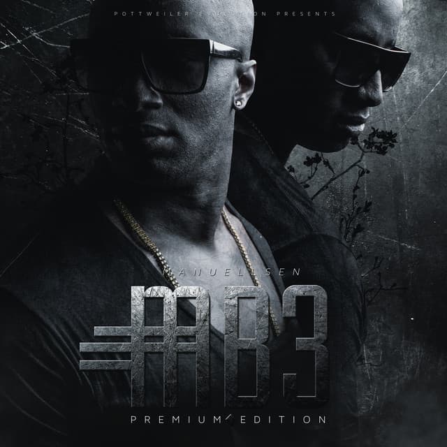 Brüder cover art