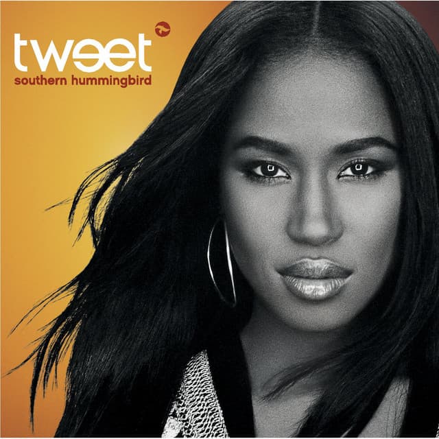 Southern Hummingbird cover art