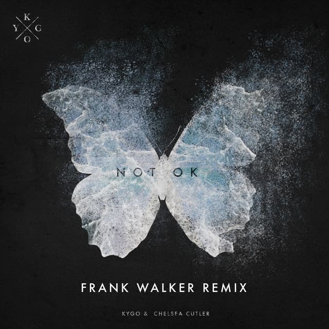 Not Ok - Frank Walker Remix cover art