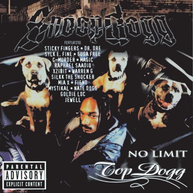 Down 4 My N's cover art