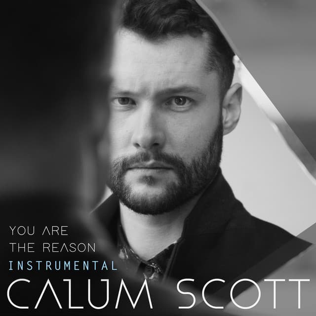 You Are The Reason - Instrumental cover art