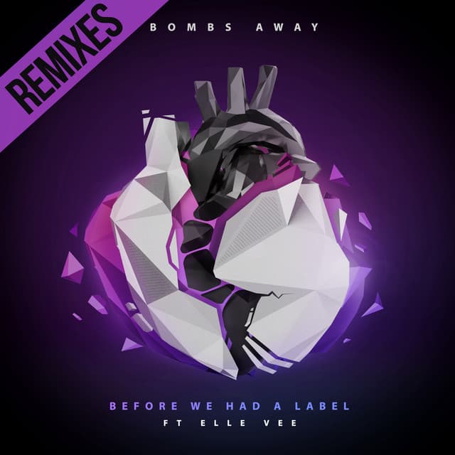 Before We Had a Label - Skytek Remix cover art