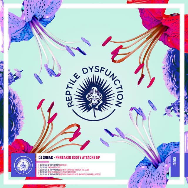 Booty Ho - Doorly's Rub For The Club cover art