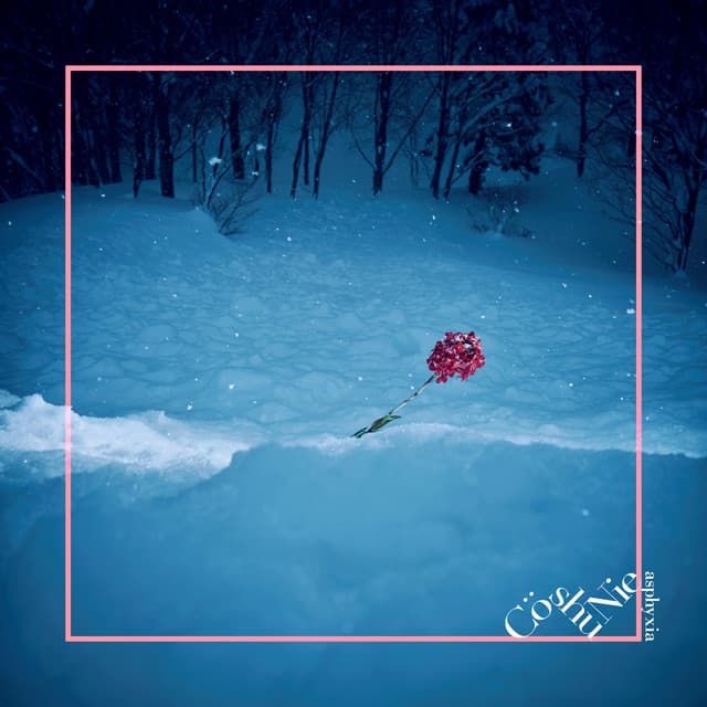 PERSON. cover art