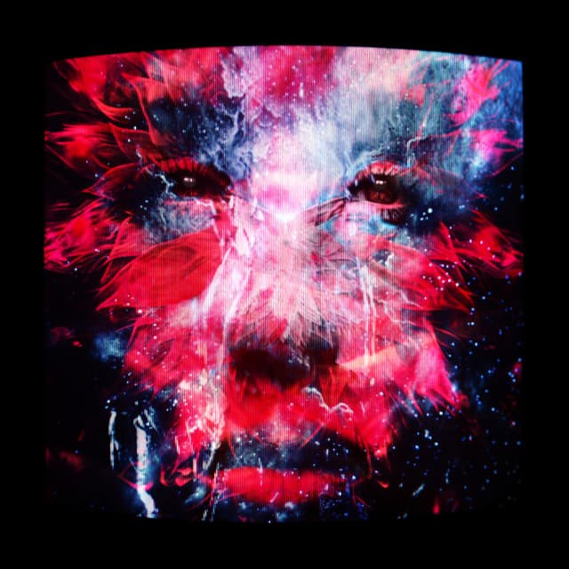 Rollin cover art