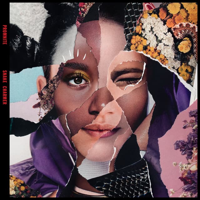 Cruise'n USA cover art