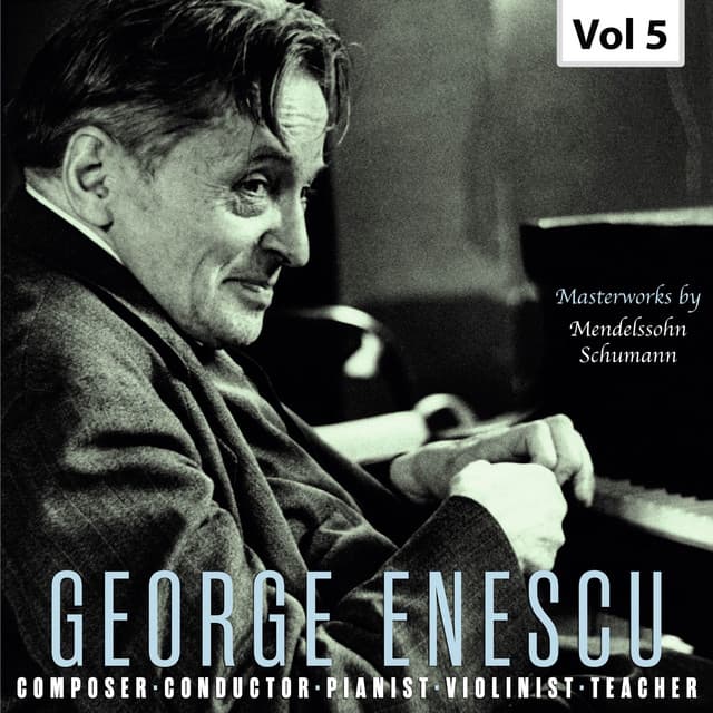 Violin COncErto in E Minor, Op. 64: I. Allegro molto appassionato cover art