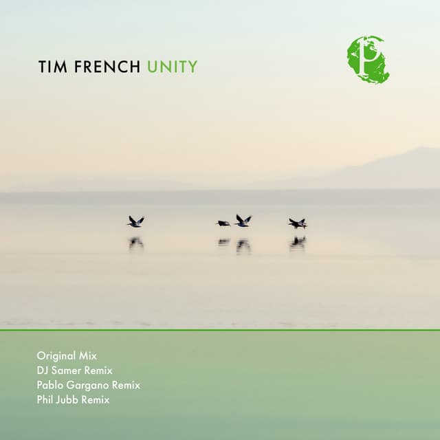 Unity - Pablo Gargano Remix cover art