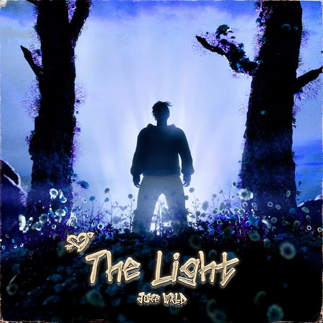 The Light cover art