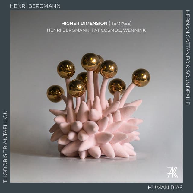Higher Dimension - Hernan Cattaneo & Soundexile Remix cover art