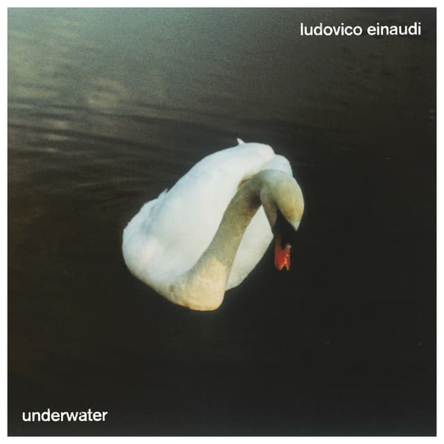 Luminous cover art