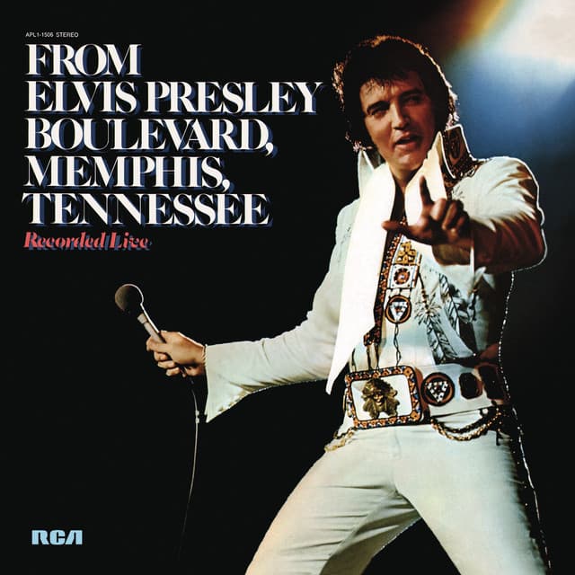 Blue Eyes Crying In the Rain cover art