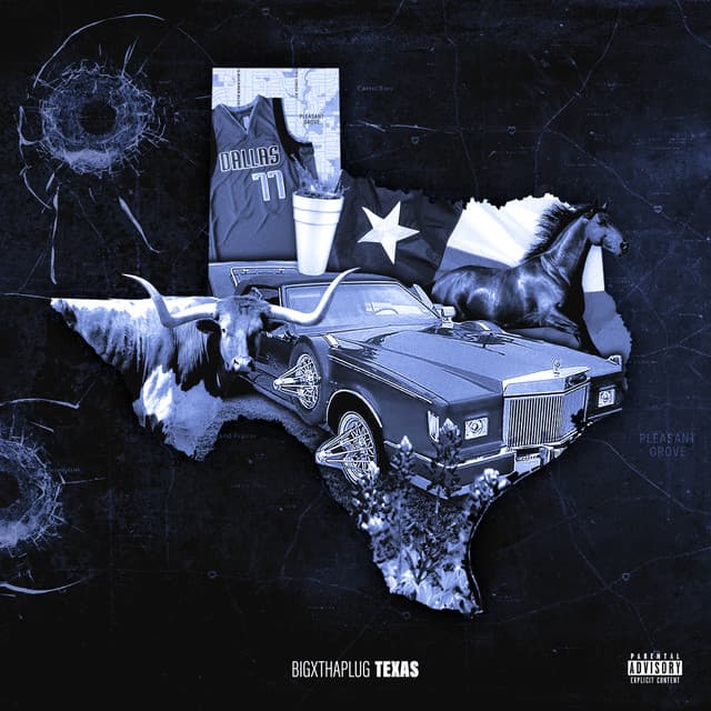 Texas cover art