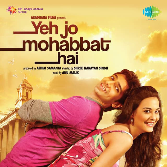 Big Fat Indian Wedding cover art