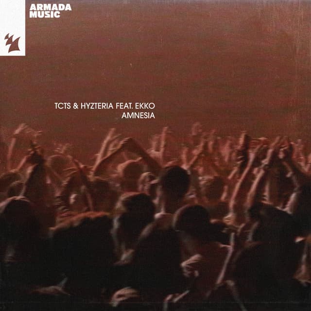 Amnesia - VIP Mix cover art