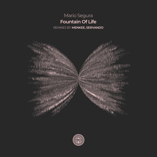 Fountain Of Life cover art