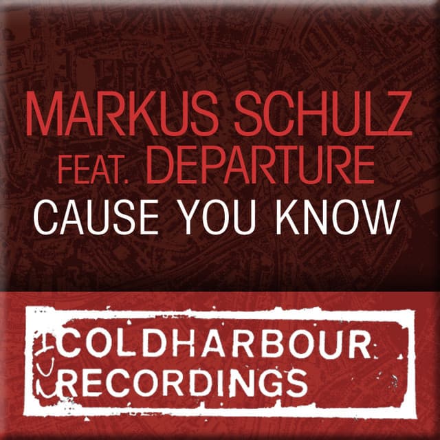 Cause You Know - Nic Chagall Remix cover art