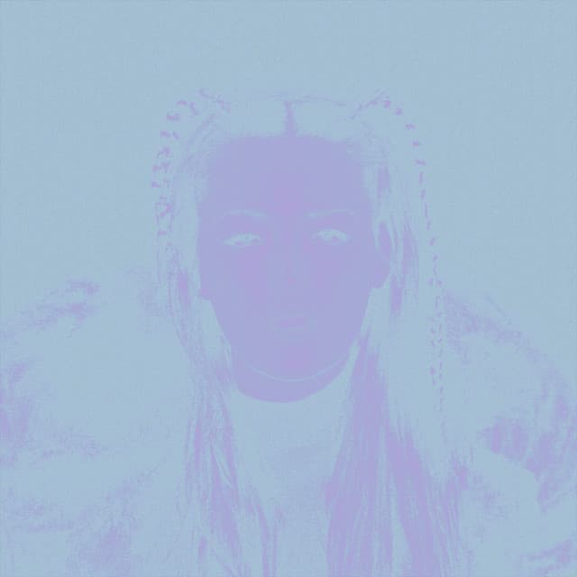 365 cover art