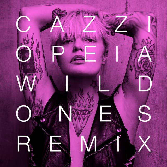 Wild Ones (Remixes) cover art